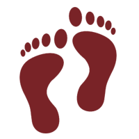 feet